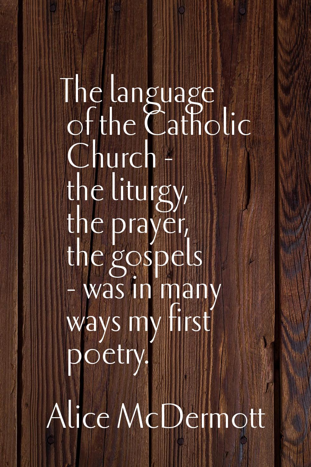 The language of the Catholic Church - the liturgy, the prayer, the gospels - was in many ways my fi