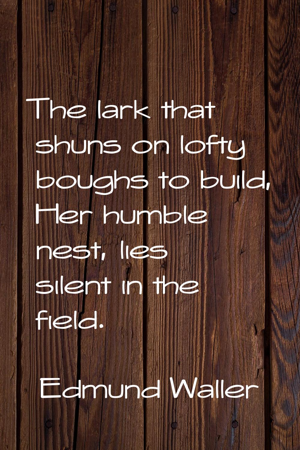 The lark that shuns on lofty boughs to build, Her humble nest, lies silent in the field.
