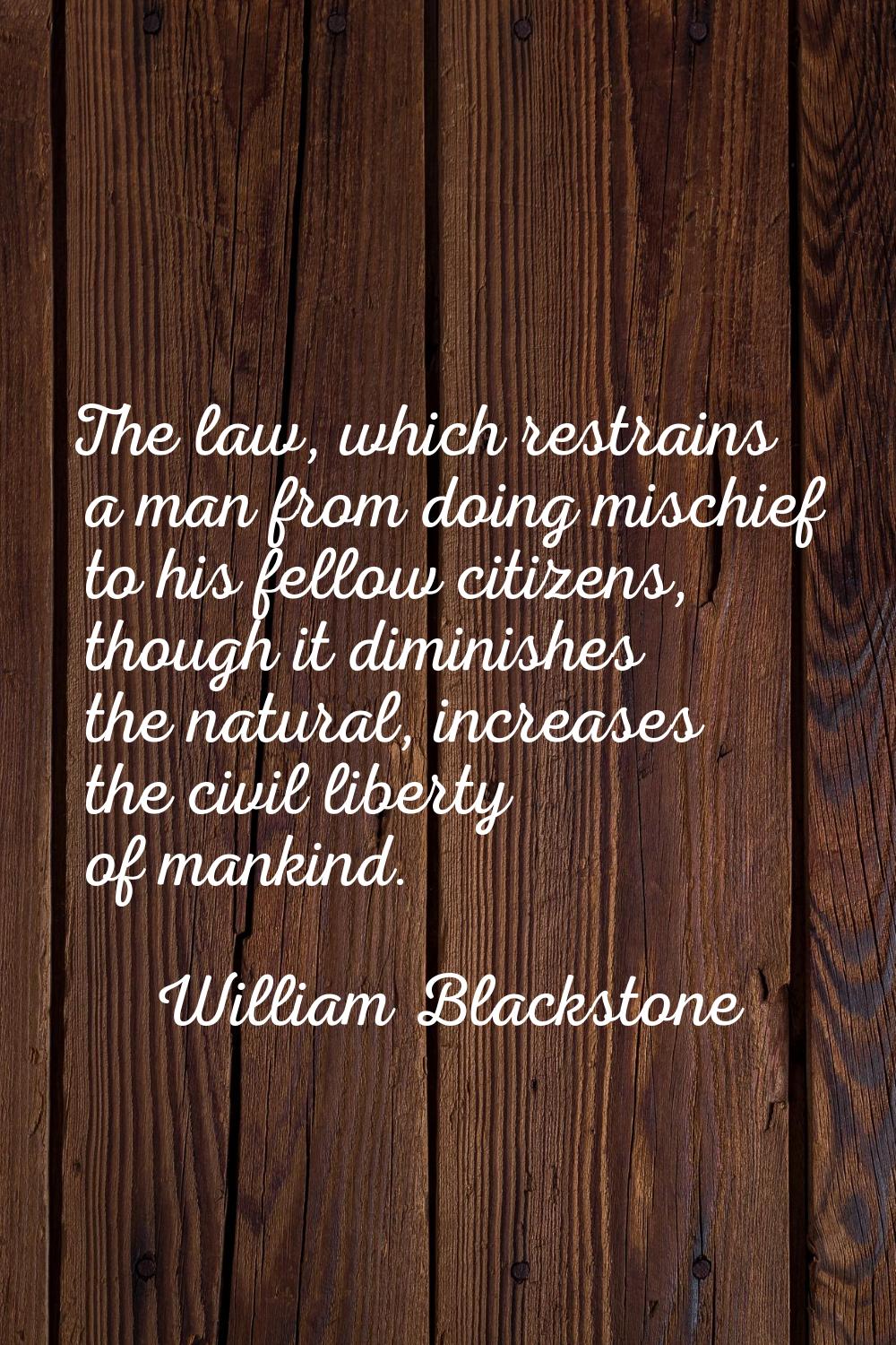 The law, which restrains a man from doing mischief to his fellow citizens, though it diminishes the