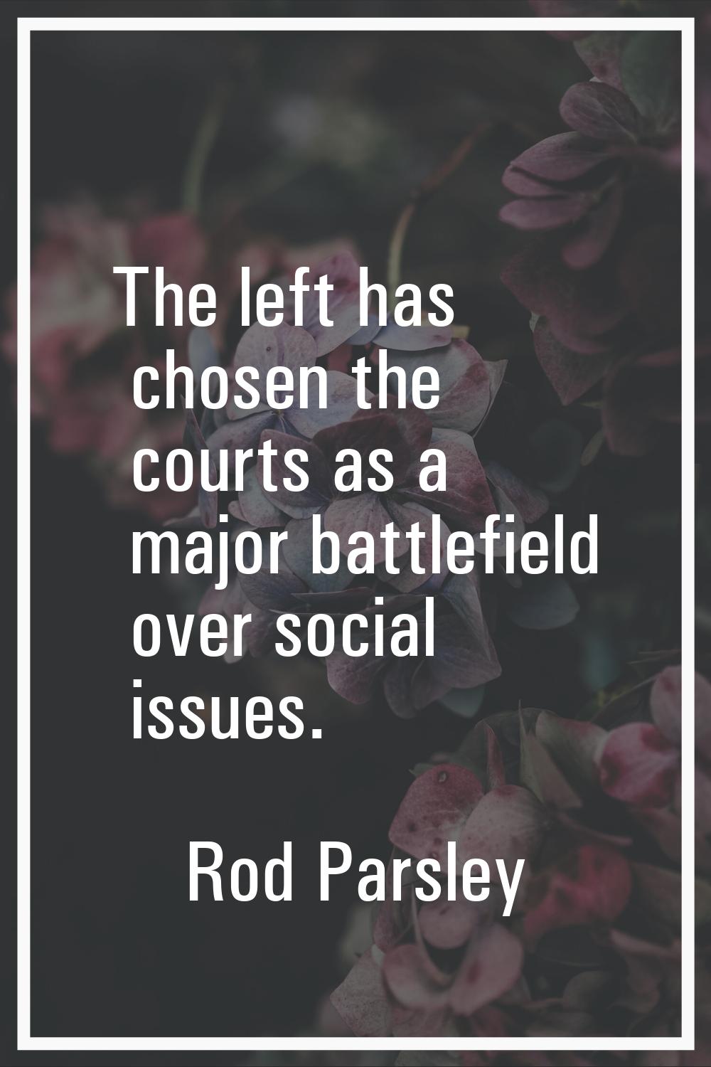 The left has chosen the courts as a major battlefield over social issues.