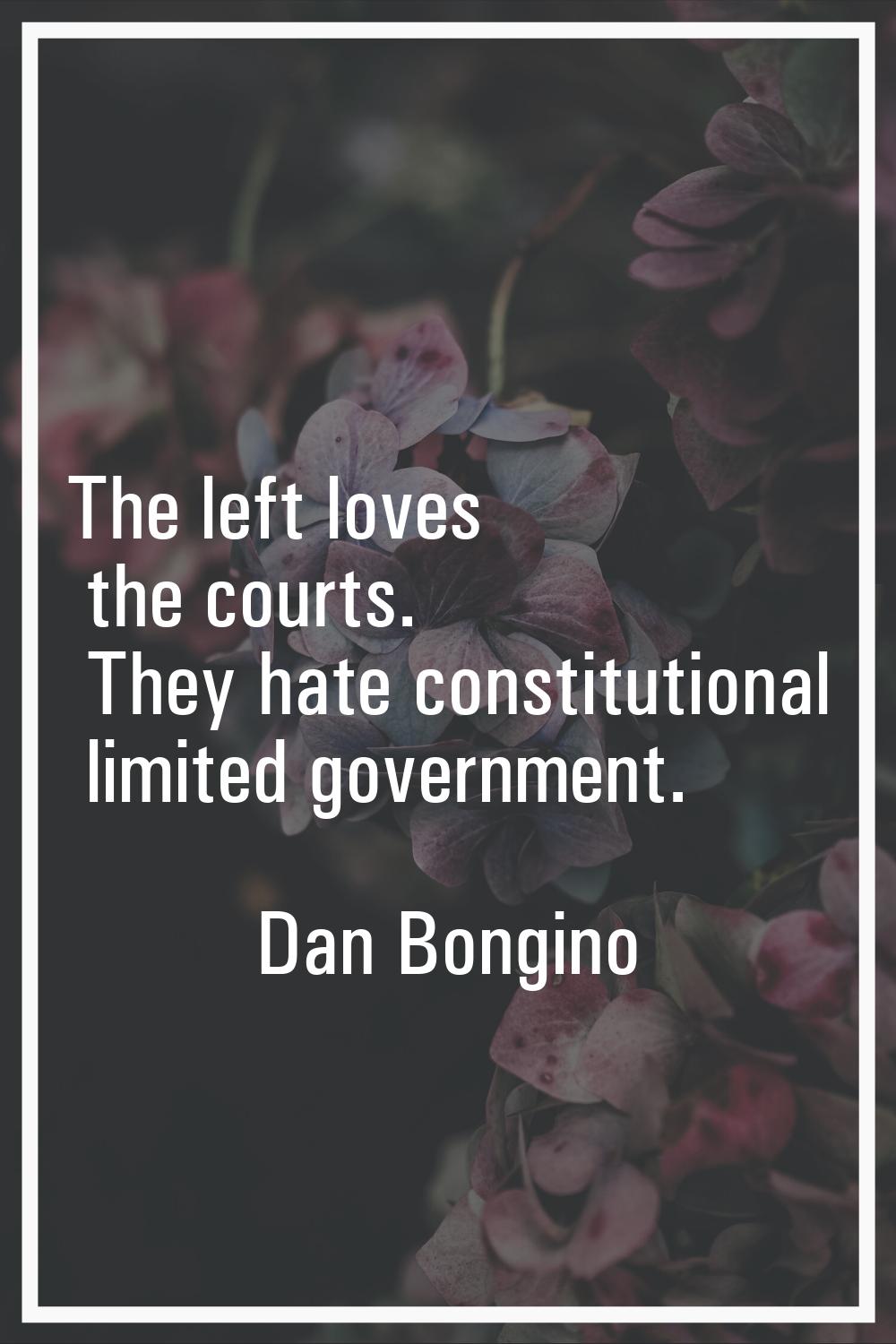The left loves the courts. They hate constitutional limited government.