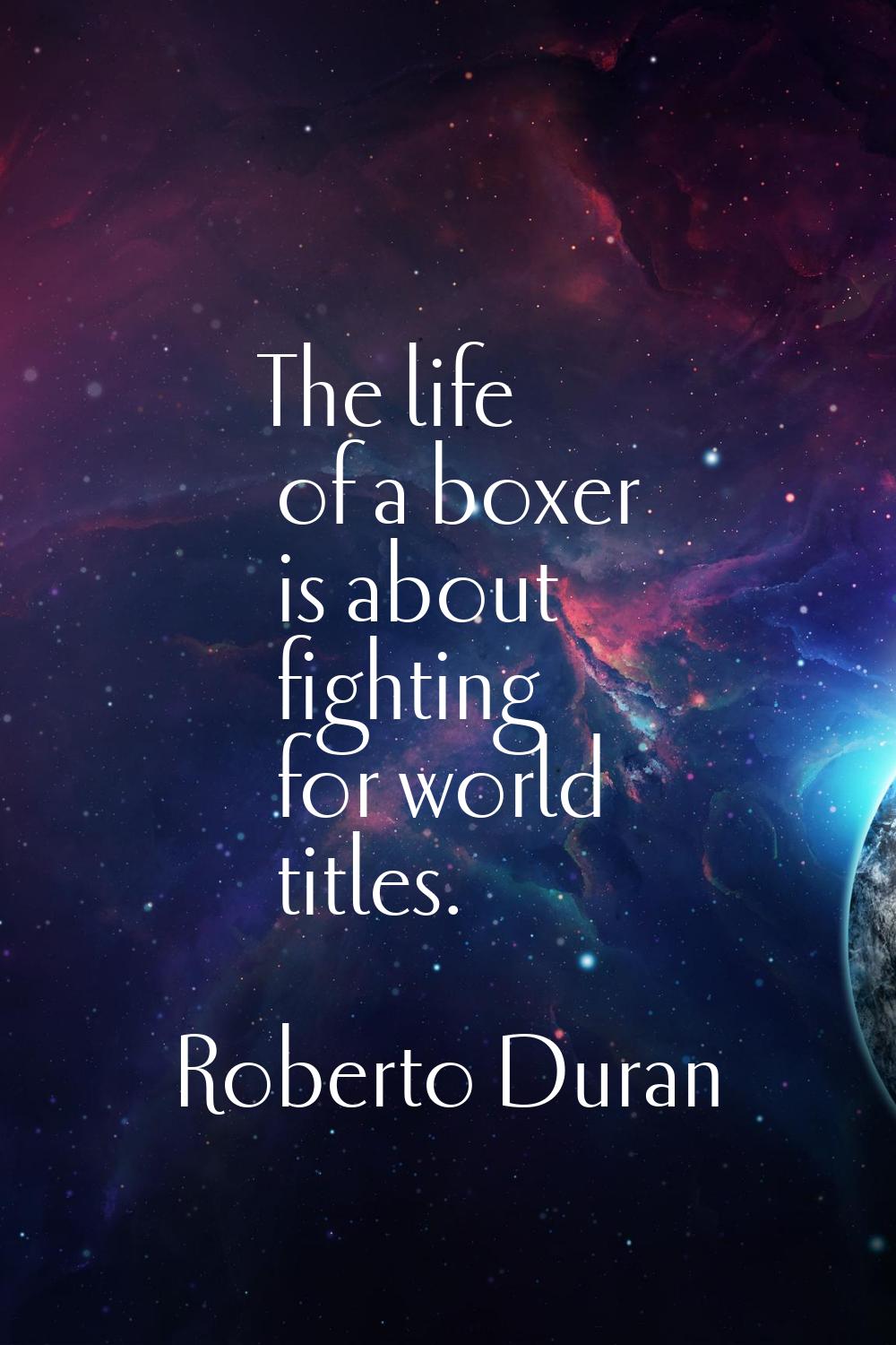 The life of a boxer is about fighting for world titles.