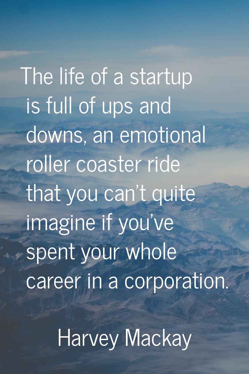 The life of a startup is full of ups and downs, an emotional roller coaster ride that you can't qui