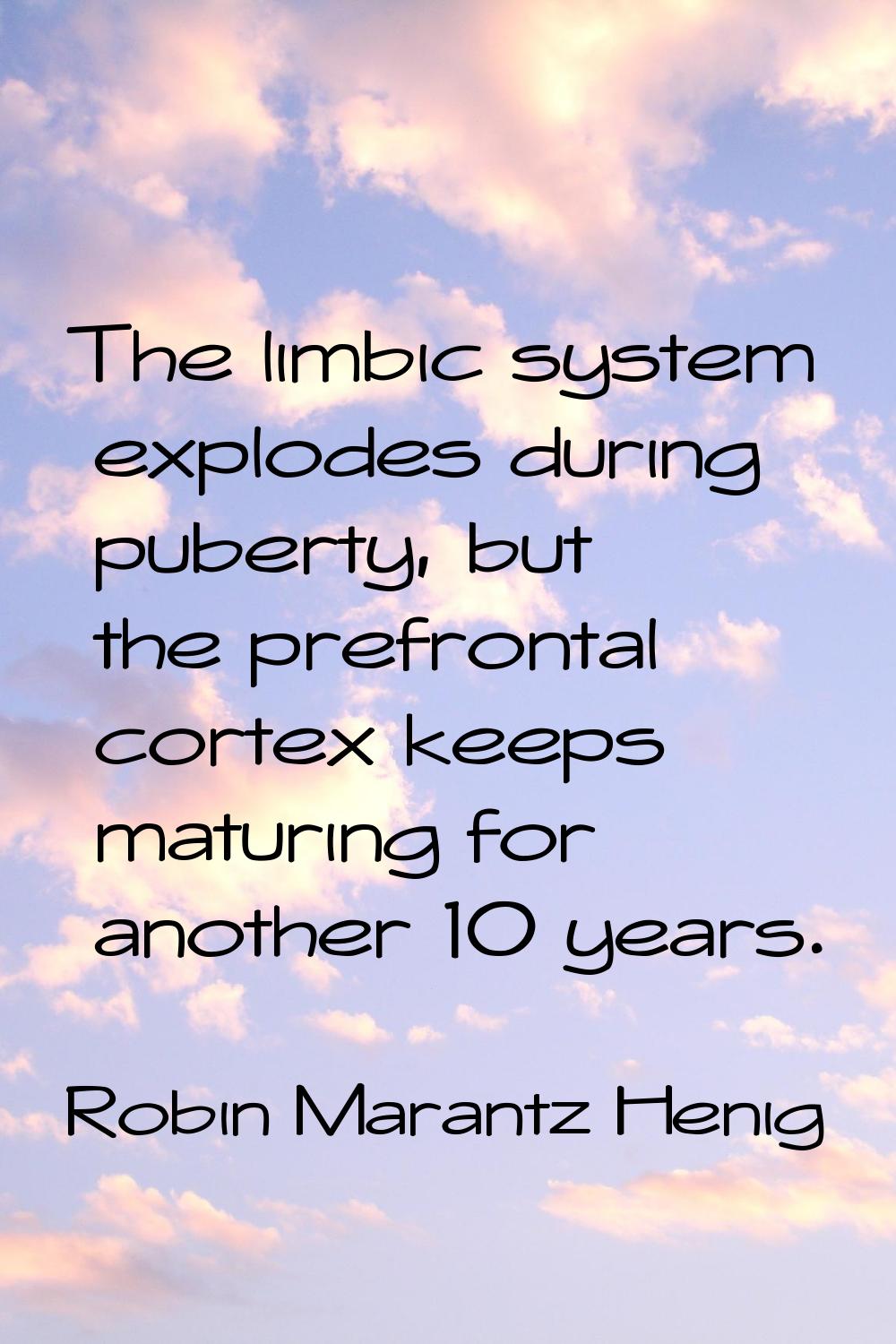 The limbic system explodes during puberty, but the prefrontal cortex keeps maturing for another 10 