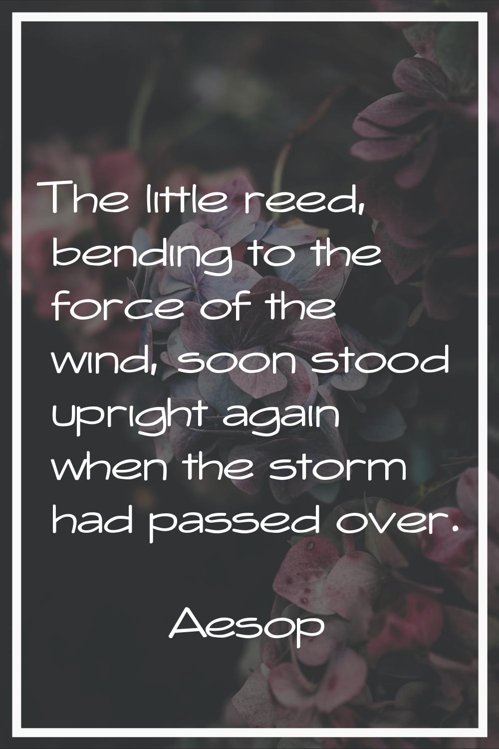 The little reed, bending to the force of the wind, soon stood upright again when the storm had pass