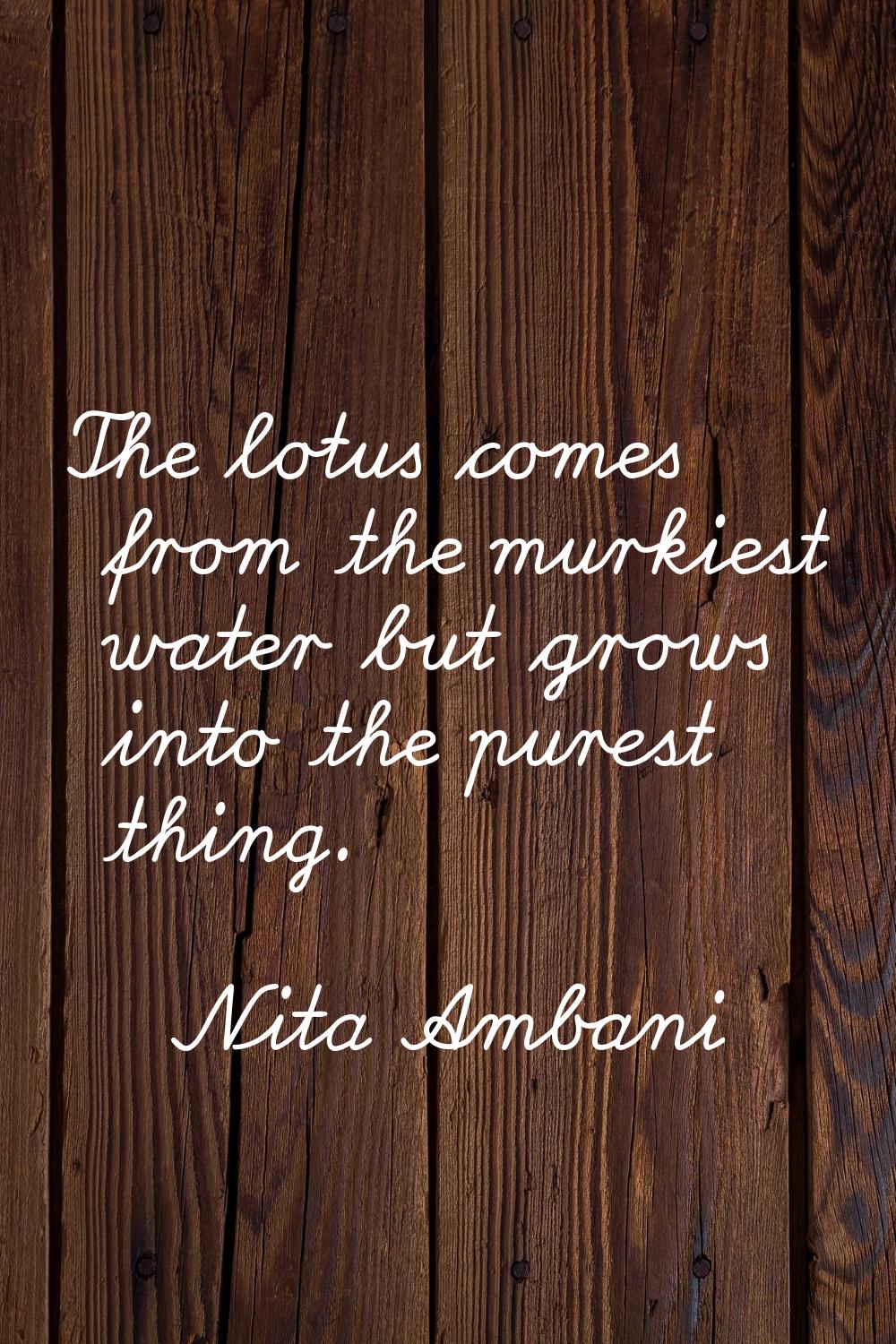 The lotus comes from the murkiest water but grows into the purest thing.