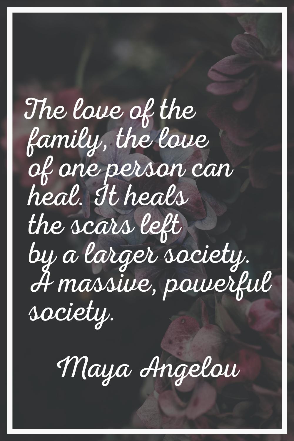 The love of the family, the love of one person can heal. It heals the scars left by a larger societ