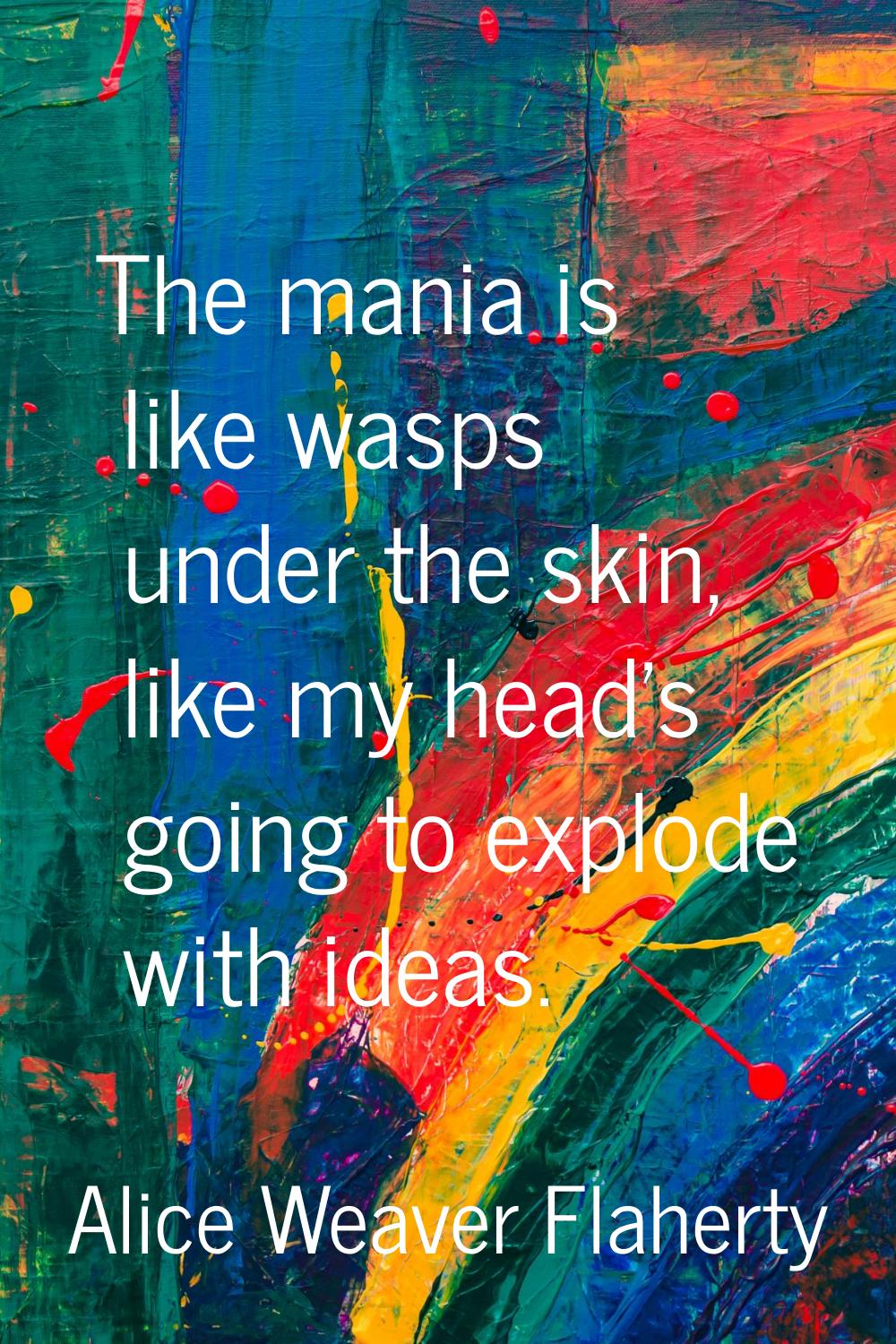 The mania is like wasps under the skin, like my head's going to explode with ideas.
