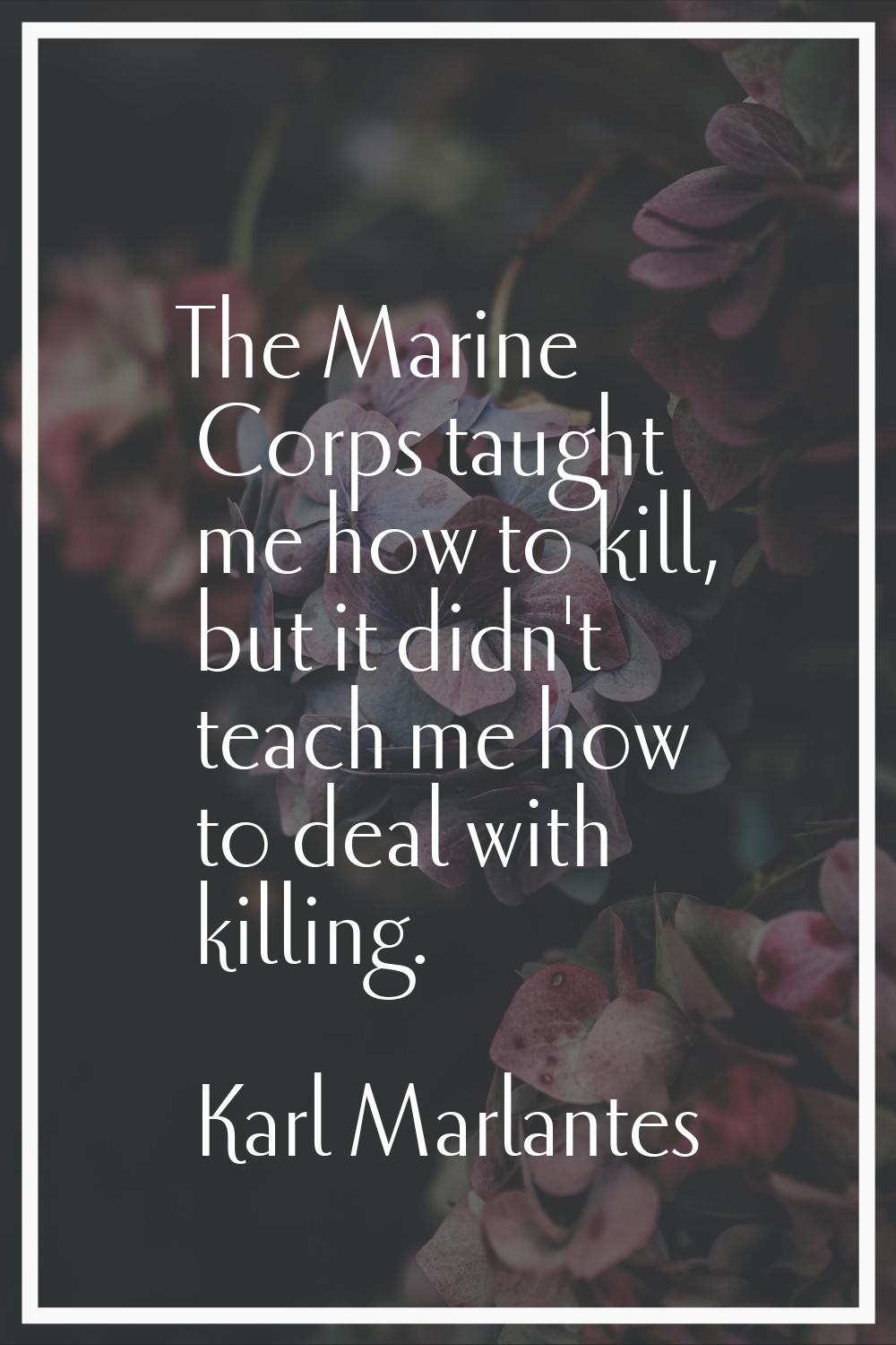 The Marine Corps taught me how to kill, but it didn't teach me how to deal with killing.