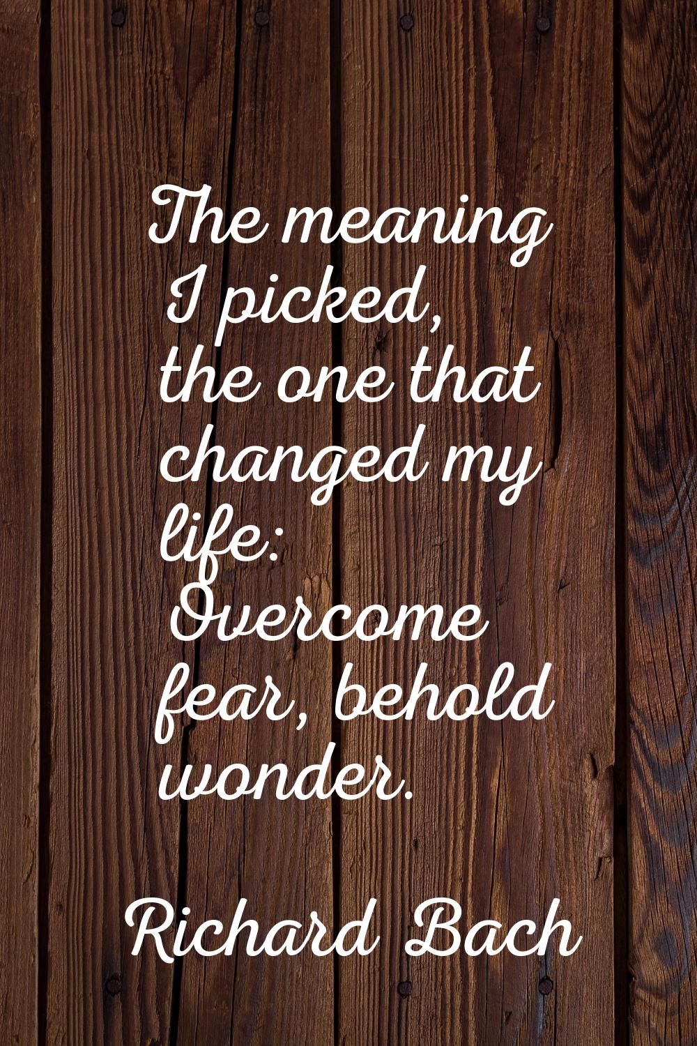 The meaning I picked, the one that changed my life: Overcome fear, behold wonder.
