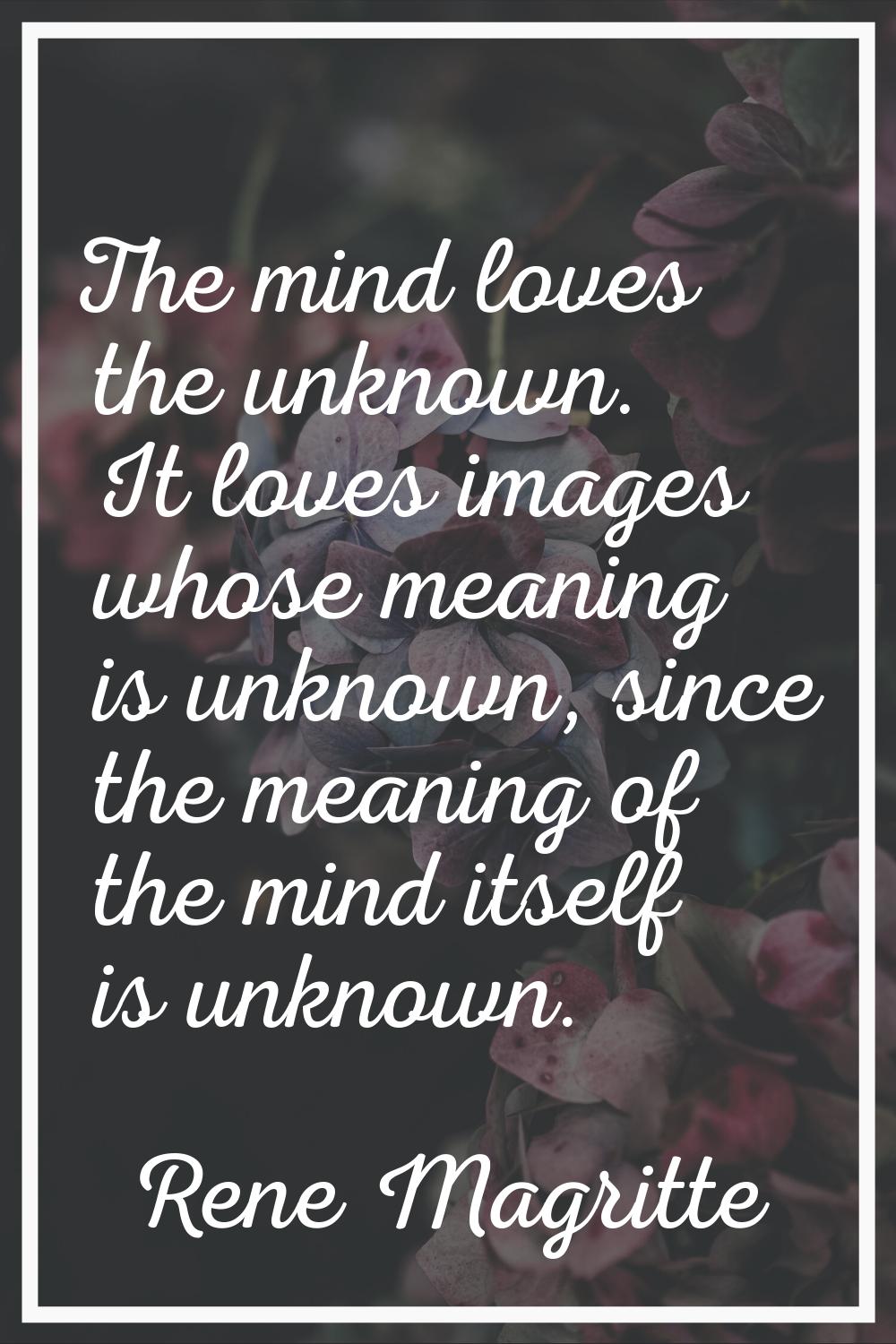 The mind loves the unknown. It loves images whose meaning is unknown, since the meaning of the mind