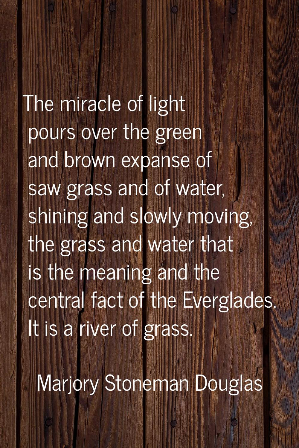The miracle of light pours over the green and brown expanse of saw grass and of water, shining and 