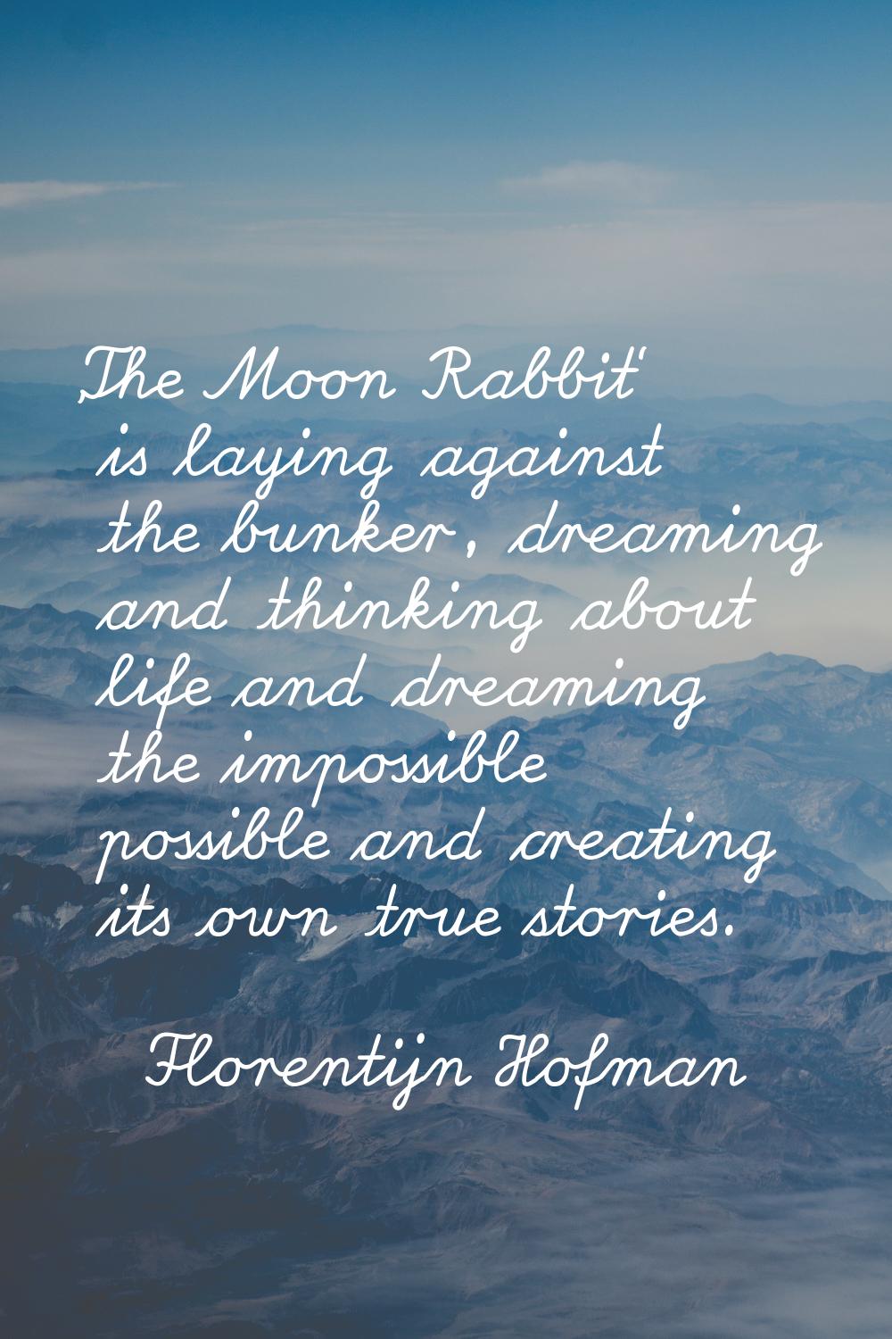 'The Moon Rabbit' is laying against the bunker, dreaming and thinking about life and dreaming the i