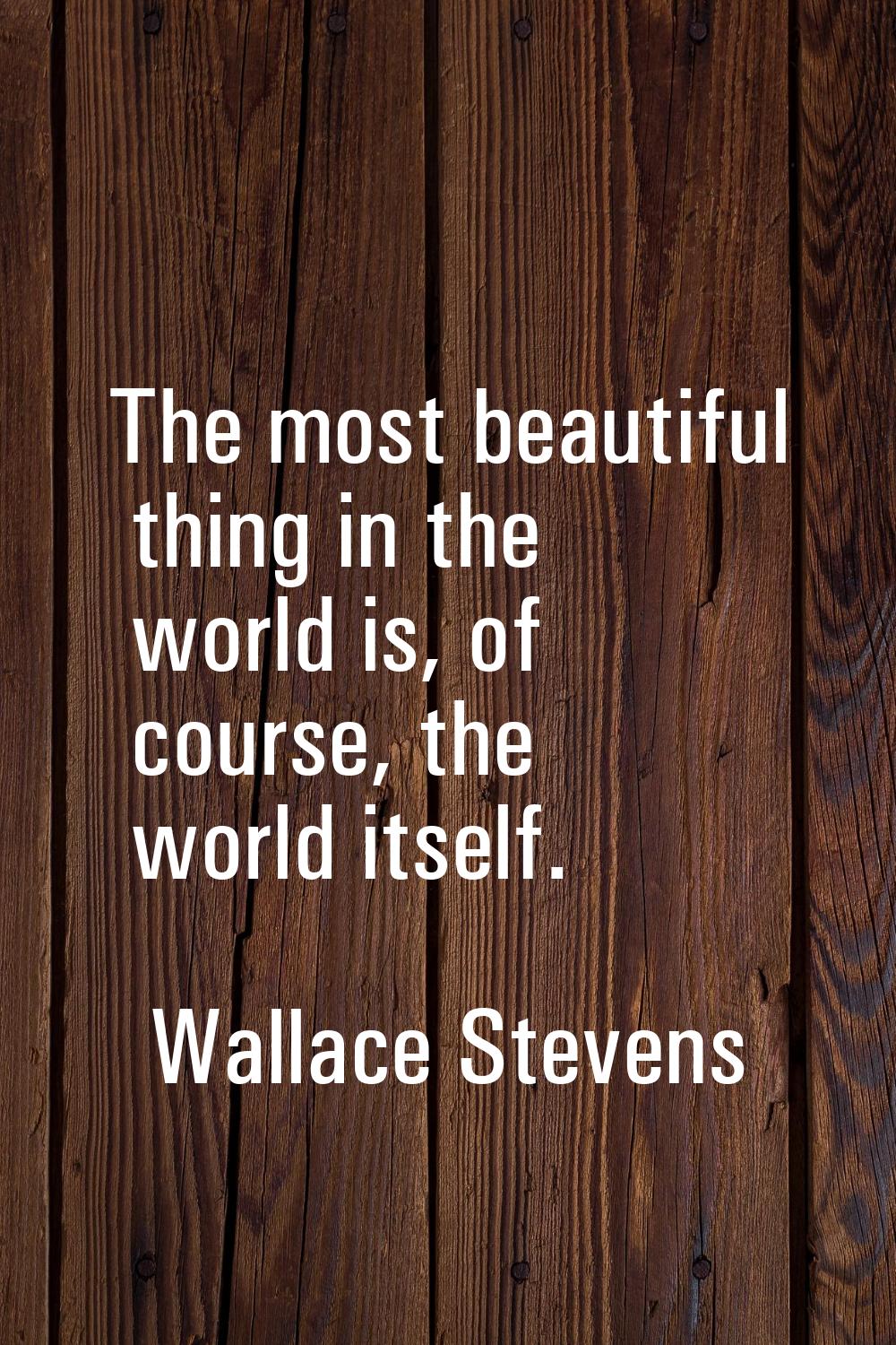 The most beautiful thing in the world is, of course, the world itself.
