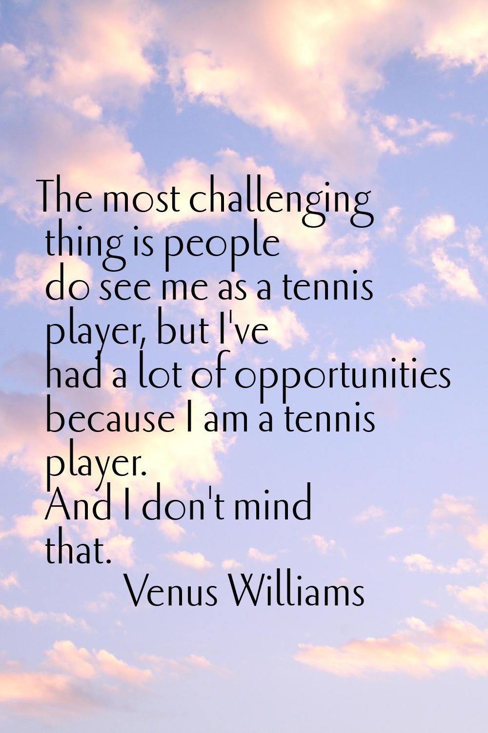 The most challenging thing is people do see me as a tennis player, but I've had a lot of opportunit