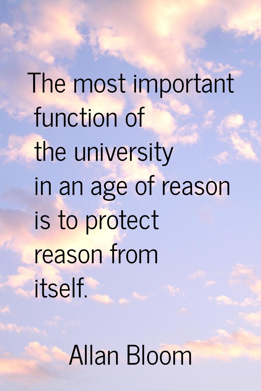 The most important function of the university in an age of reason is to protect reason from itself.