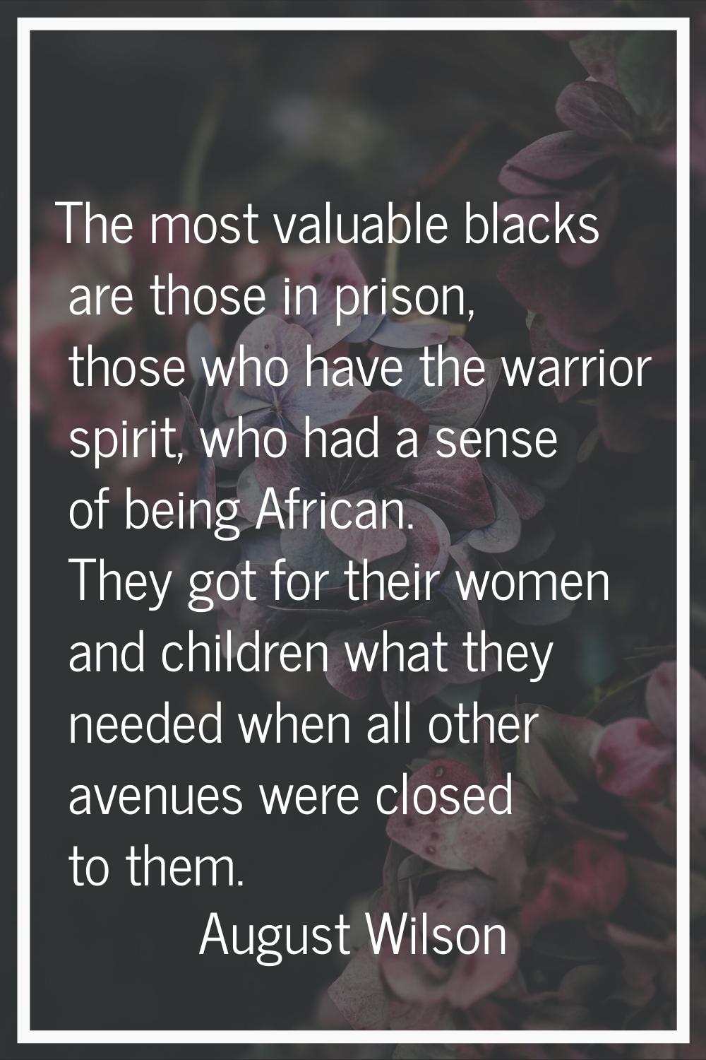 The most valuable blacks are those in prison, those who have the warrior spirit, who had a sense of