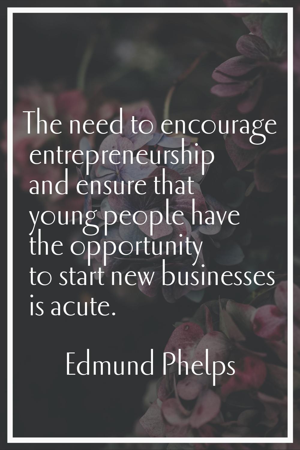 The need to encourage entrepreneurship and ensure that young people have the opportunity to start n