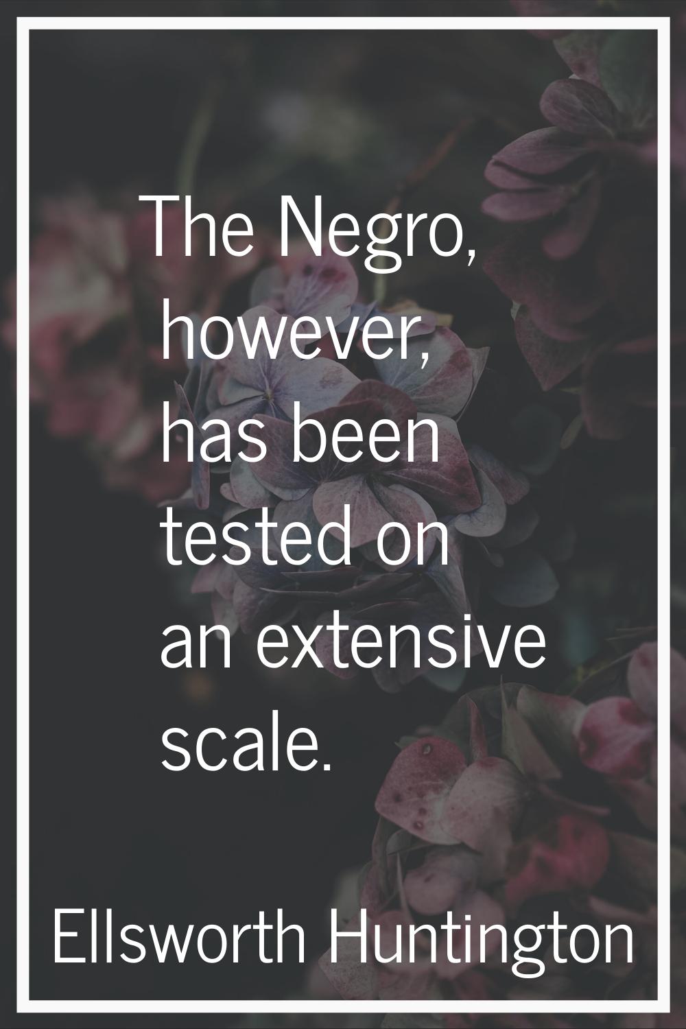 The Negro, however, has been tested on an extensive scale.