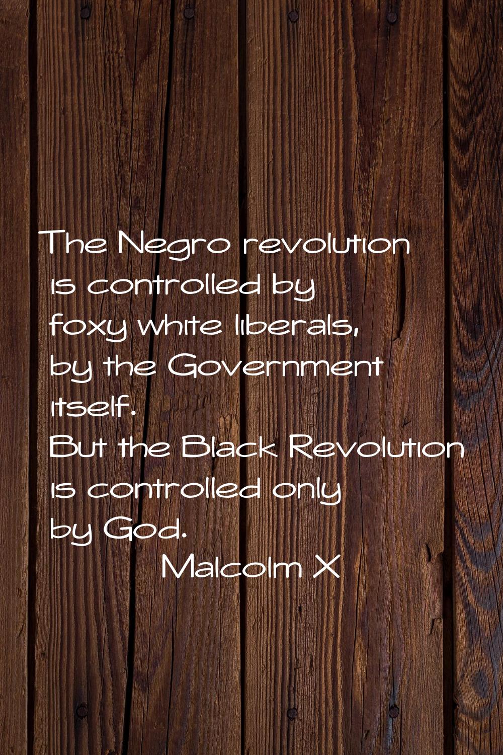 The Negro revolution is controlled by foxy white liberals, by the Government itself. But the Black 