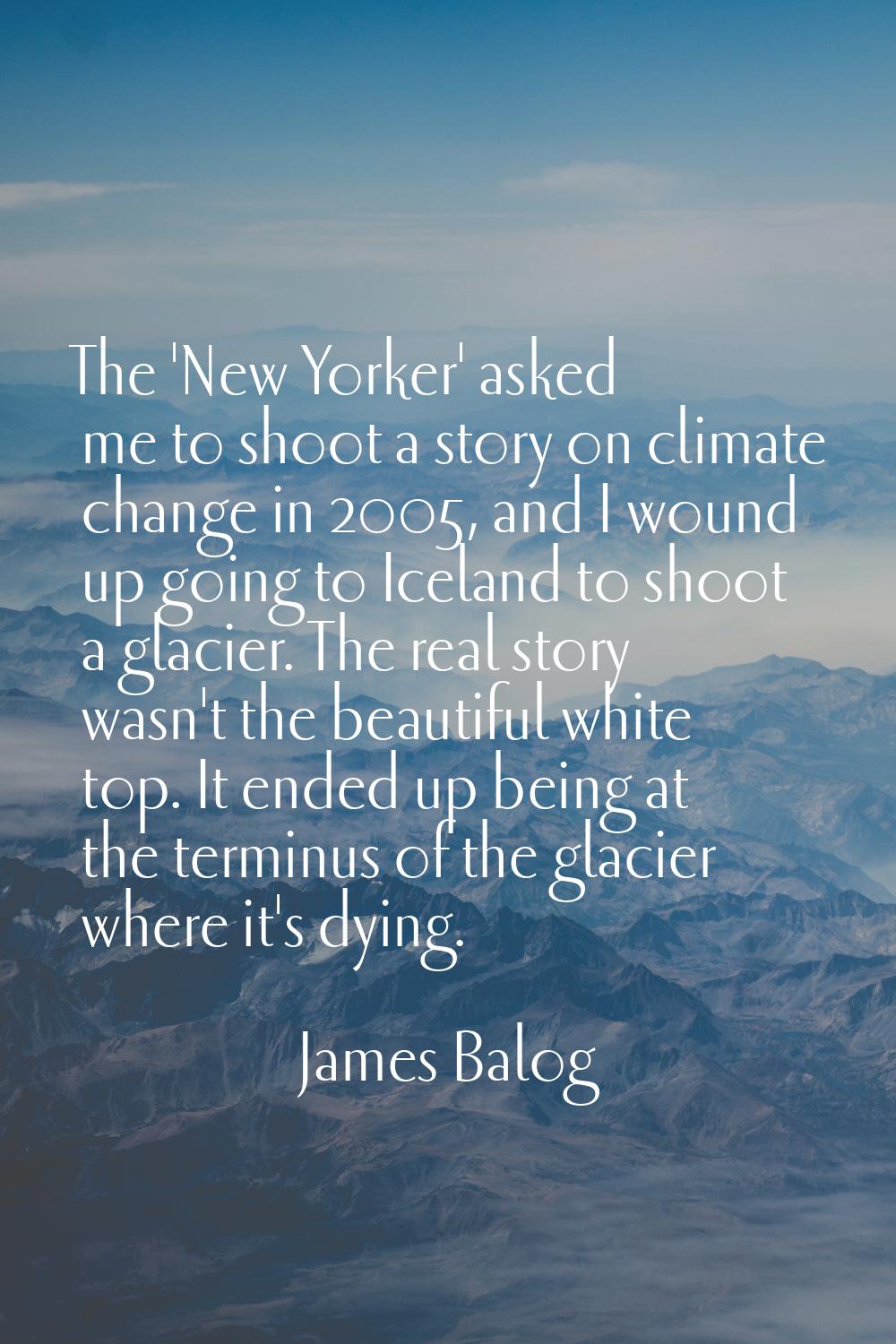 The 'New Yorker' asked me to shoot a story on climate change in 2005, and I wound up going to Icela