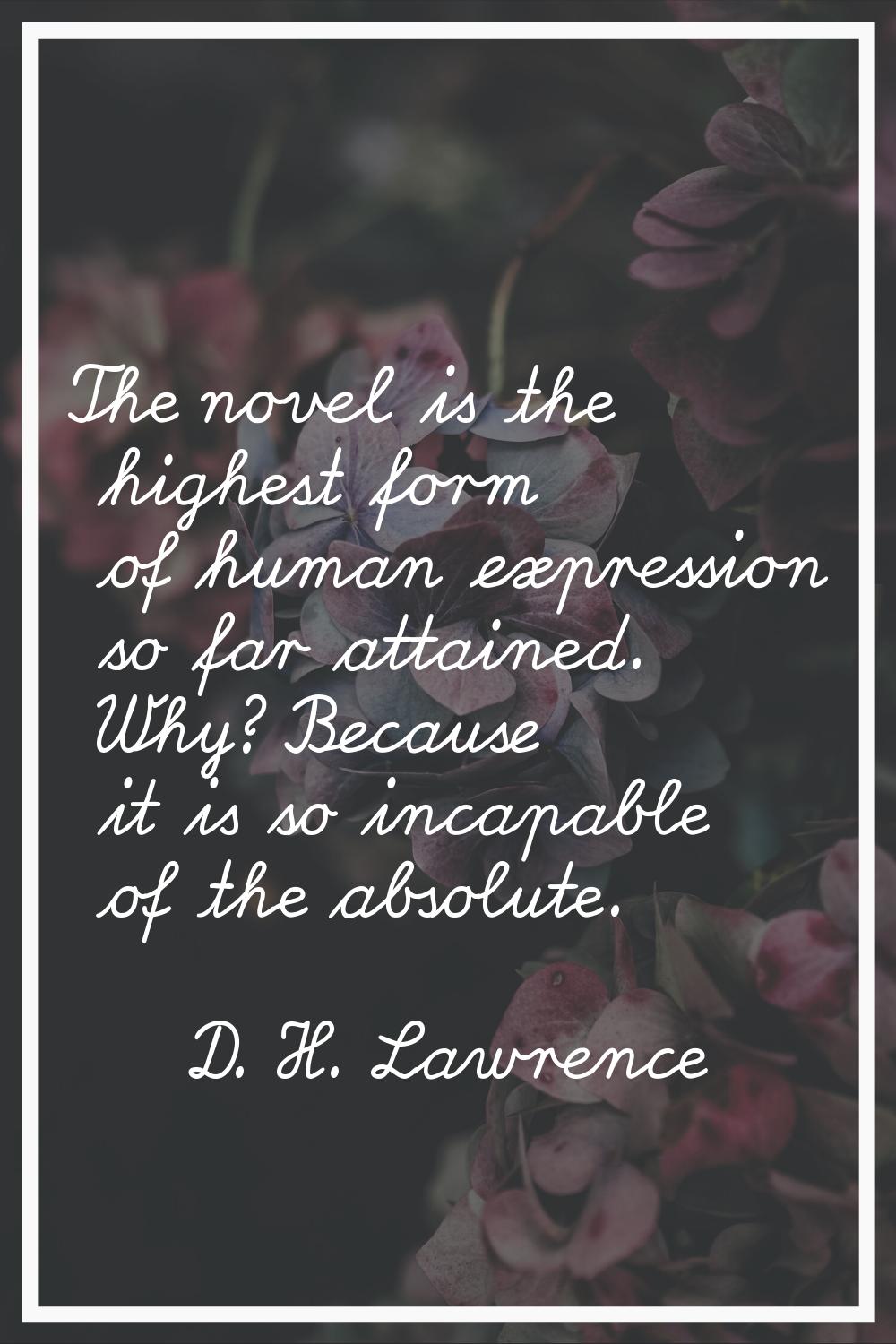 The novel is the highest form of human expression so far attained. Why? Because it is so incapable 