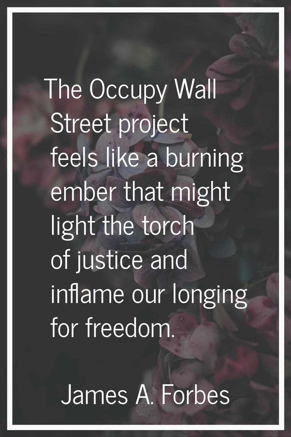 The Occupy Wall Street project feels like a burning ember that might light the torch of justice and