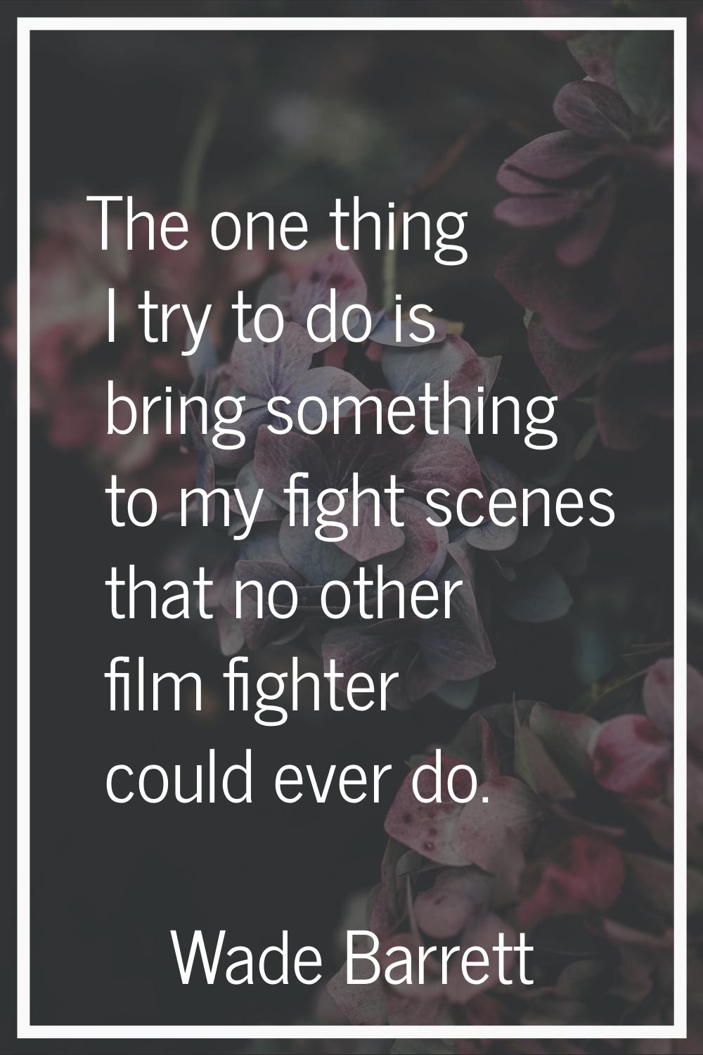 The one thing I try to do is bring something to my fight scenes that no other film fighter could ev