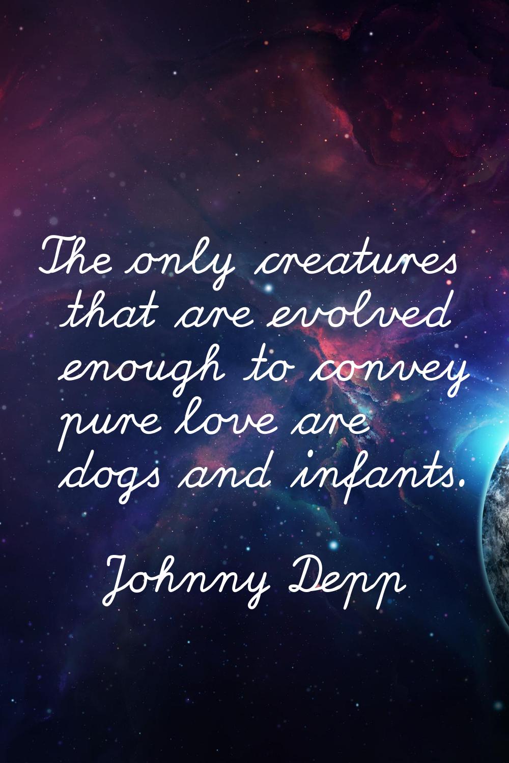 The only creatures that are evolved enough to convey pure love are dogs and infants.