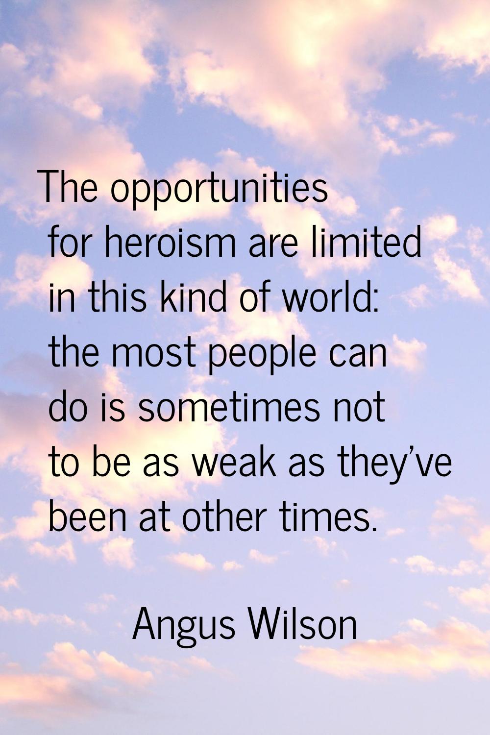 The opportunities for heroism are limited in this kind of world: the most people can do is sometime