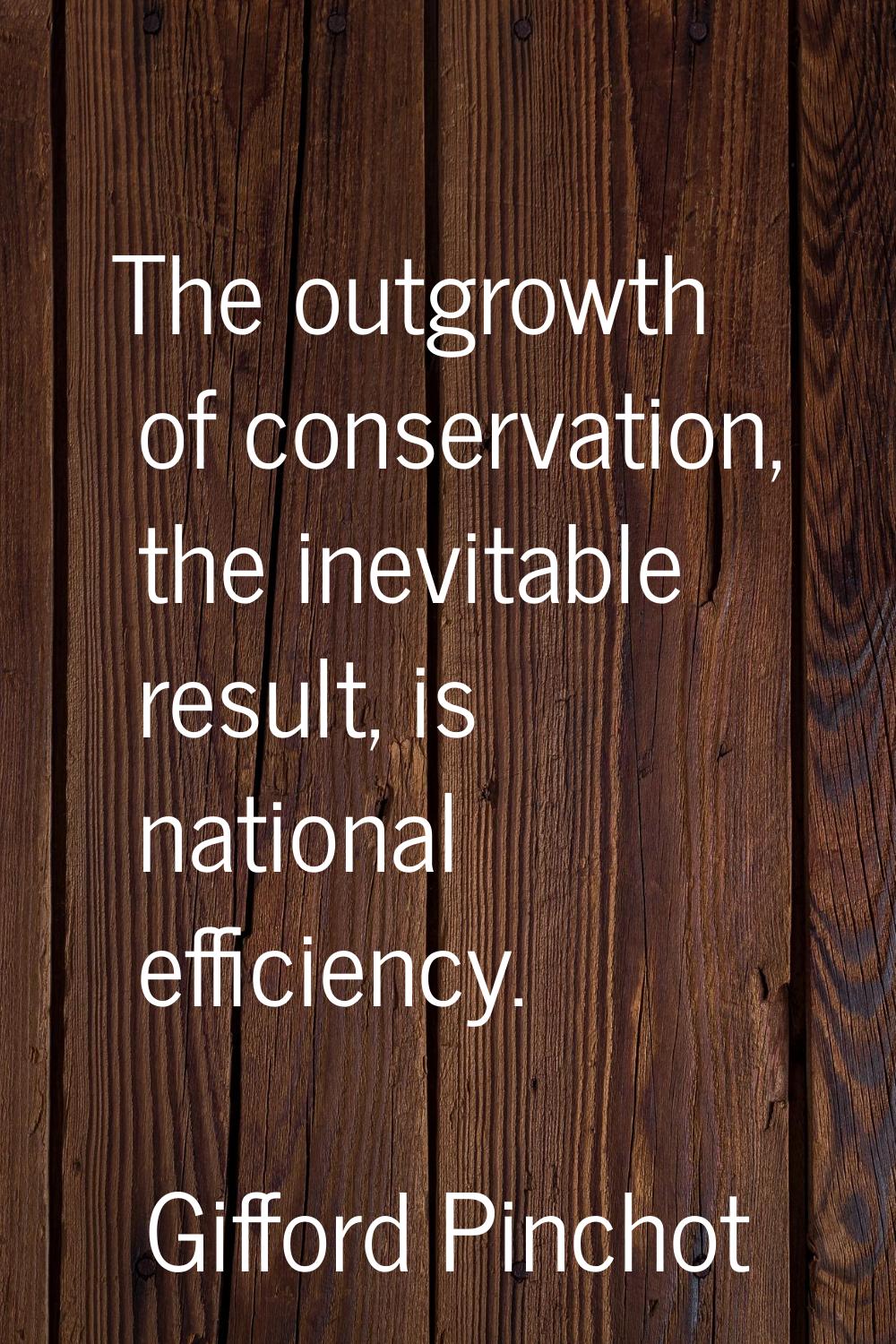 The outgrowth of conservation, the inevitable result, is national efficiency.