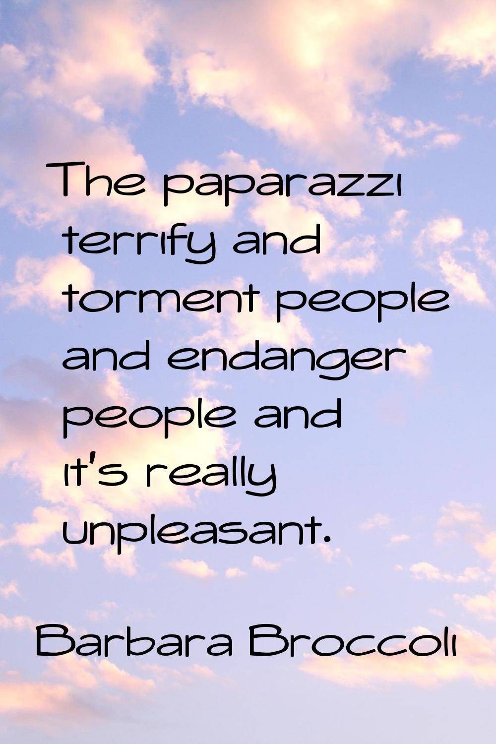 The paparazzi terrify and torment people and endanger people and it's really unpleasant.