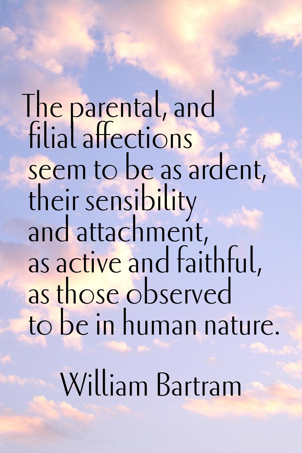 The parental, and filial affections seem to be as ardent, their sensibility and attachment, as acti