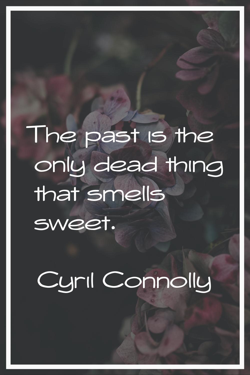 The past is the only dead thing that smells sweet.