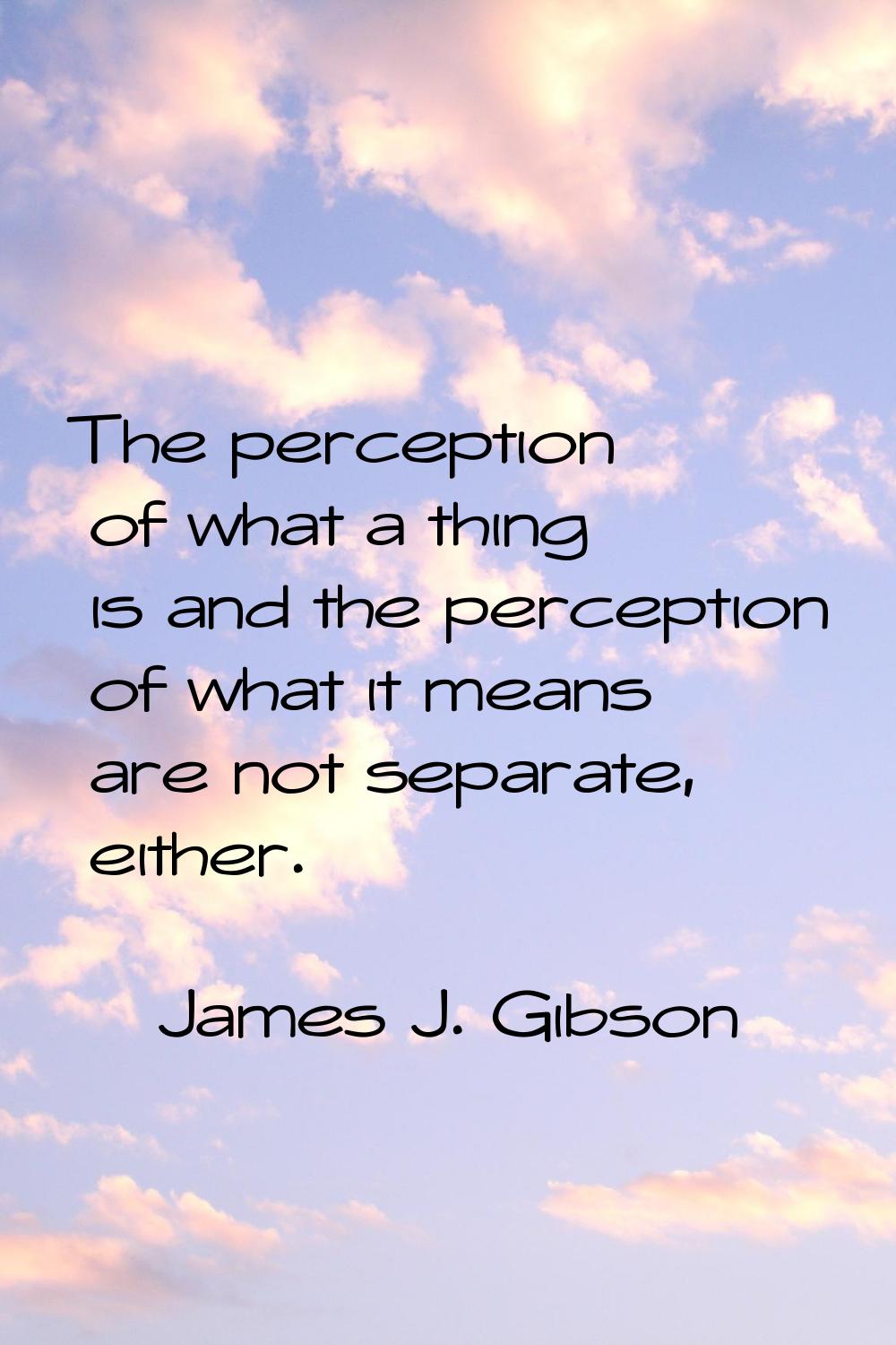 The perception of what a thing is and the perception of what it means are not separate, either.