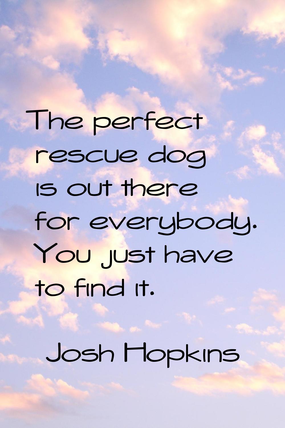 The perfect rescue dog is out there for everybody. You just have to find it.