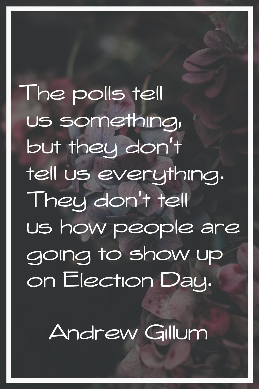 The polls tell us something, but they don't tell us everything. They don't tell us how people are g