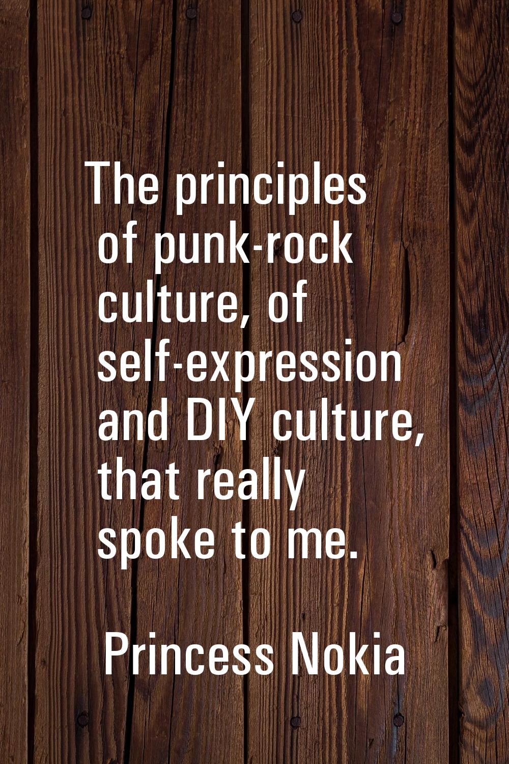 The principles of punk-rock culture, of self-expression and DIY culture, that really spoke to me.