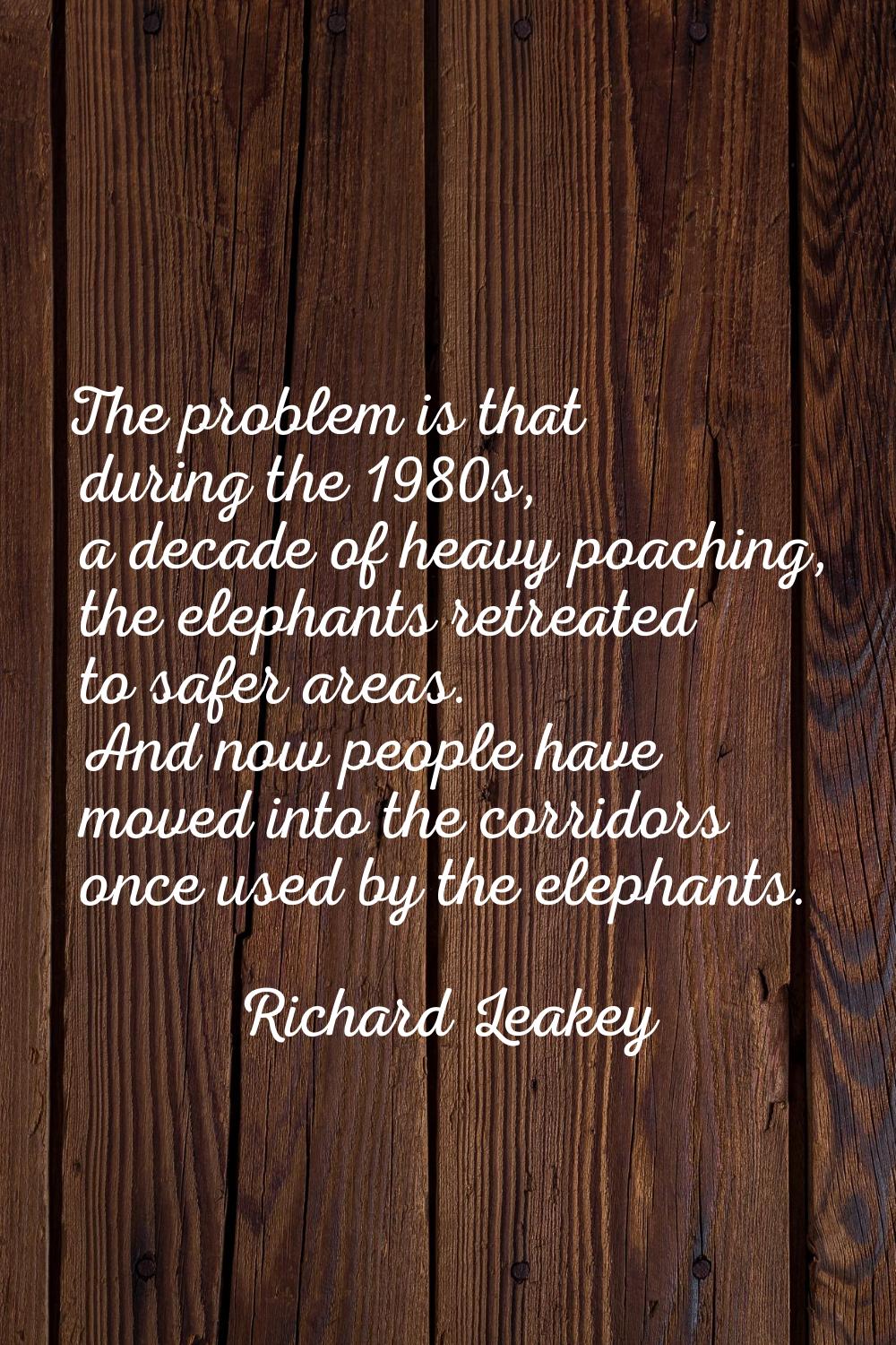 The problem is that during the 1980s, a decade of heavy poaching, the elephants retreated to safer 