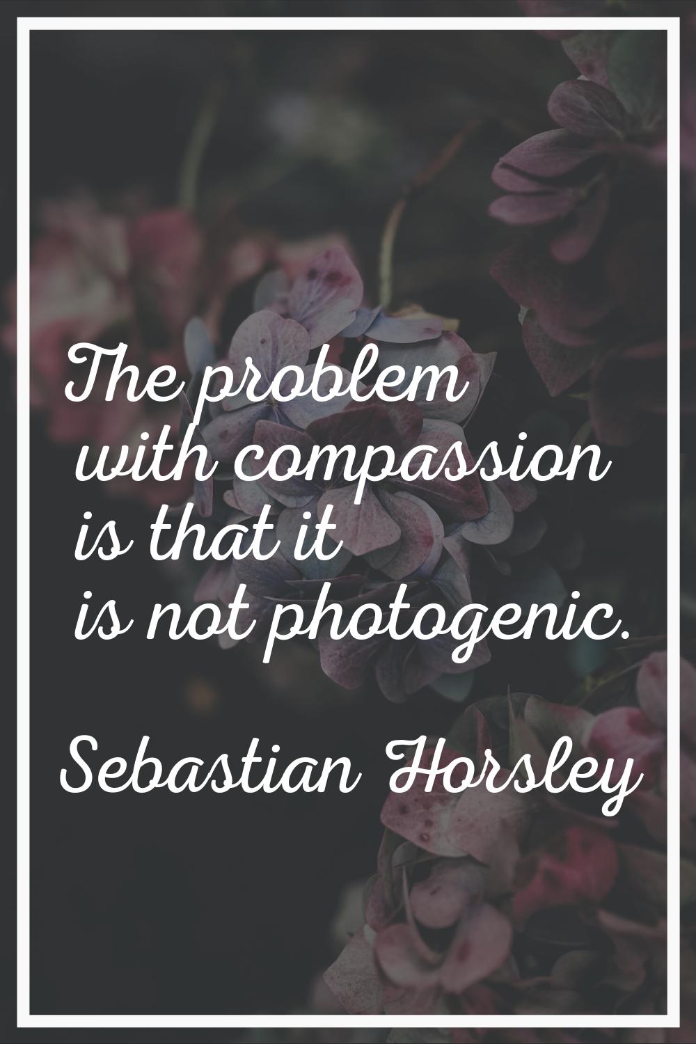 The problem with compassion is that it is not photogenic.