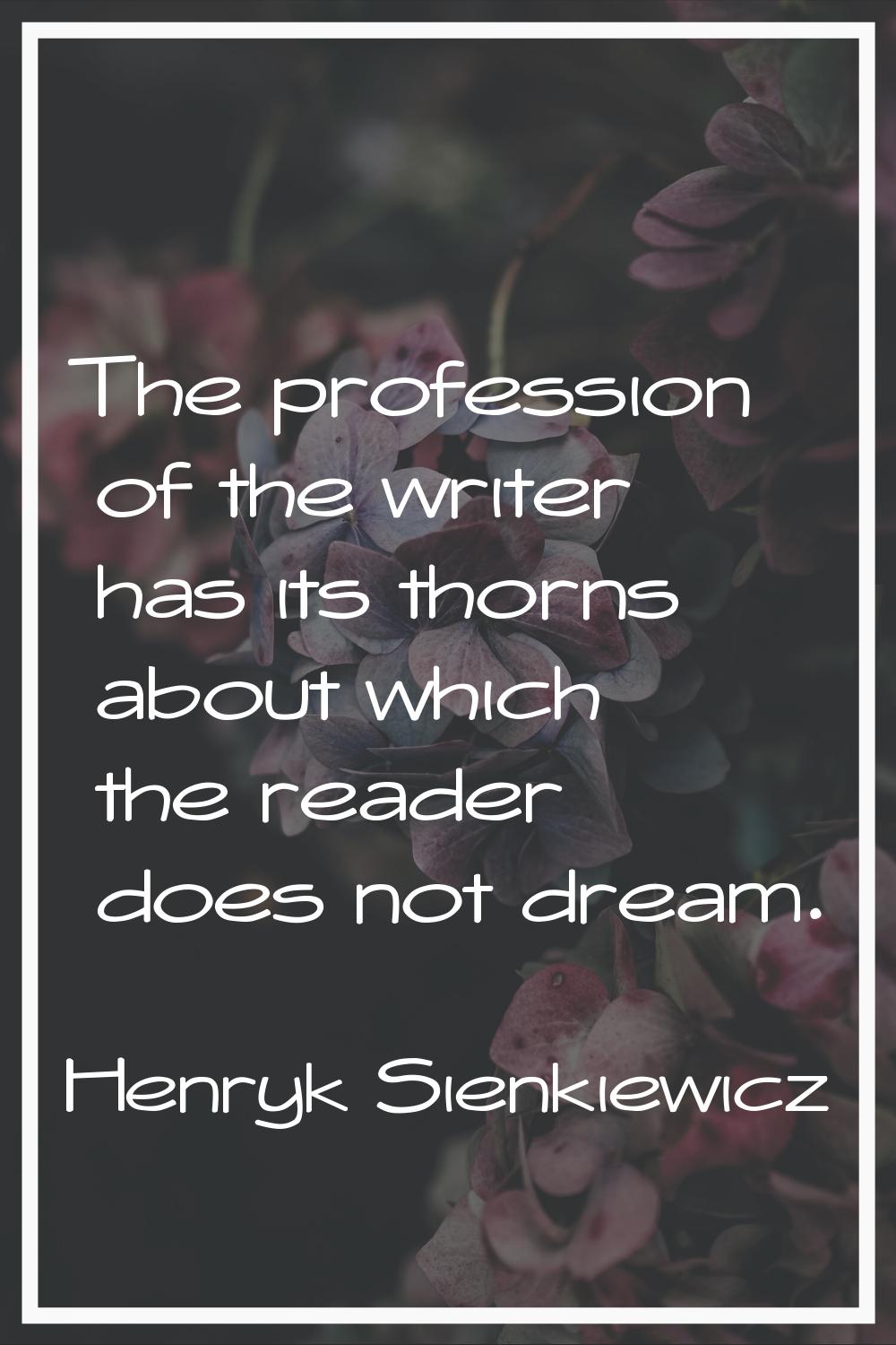The profession of the writer has its thorns about which the reader does not dream.