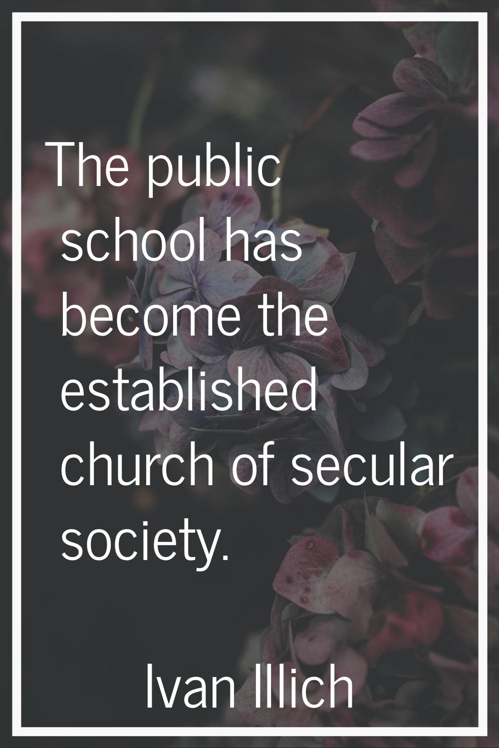 The public school has become the established church of secular society.