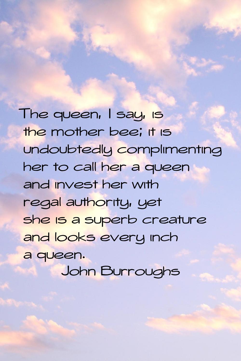 The queen, I say, is the mother bee; it is undoubtedly complimenting her to call her a queen and in