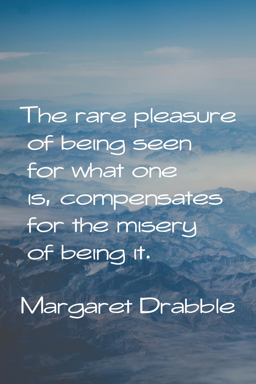 The rare pleasure of being seen for what one is, compensates for the misery of being it.