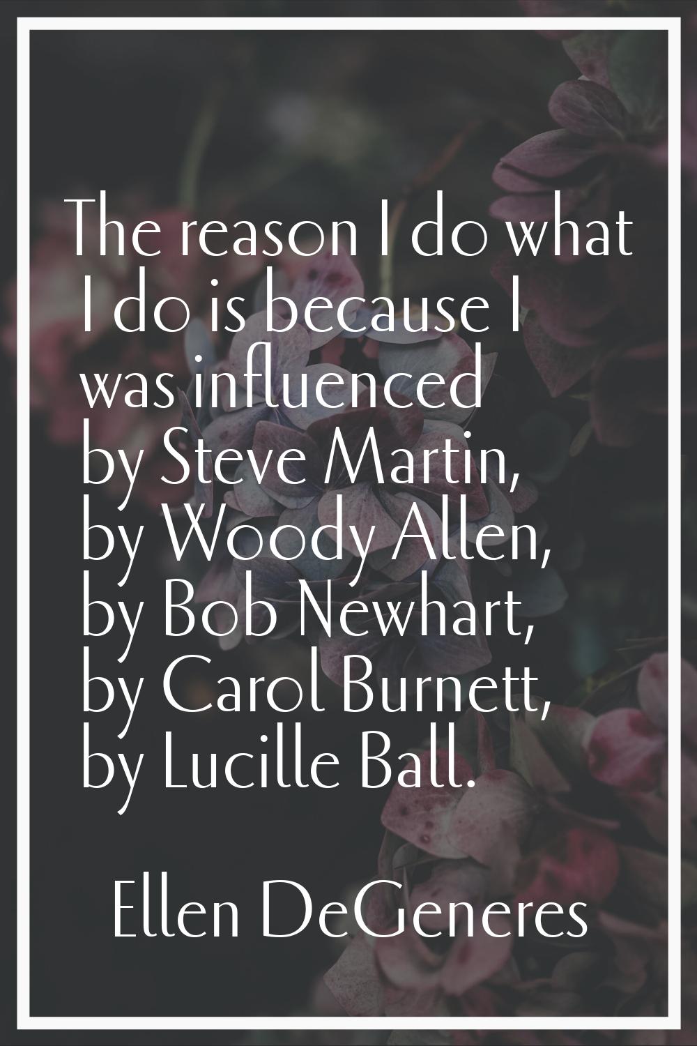 The reason I do what I do is because I was influenced by Steve Martin, by Woody Allen, by Bob Newha