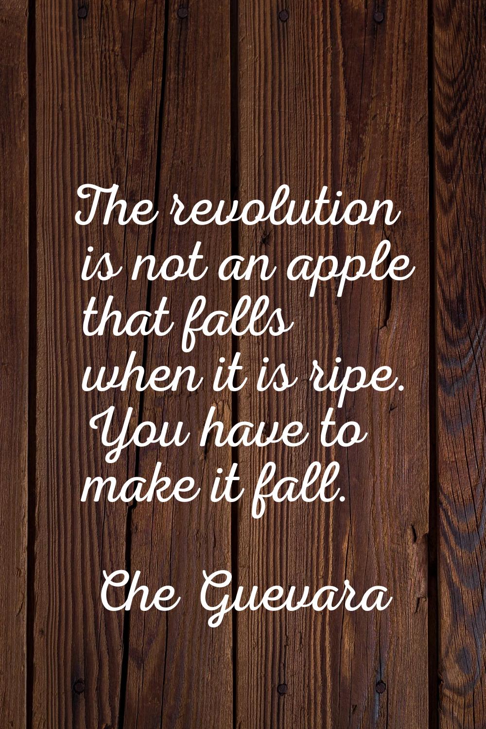 The revolution is not an apple that falls when it is ripe. You have to make it fall.