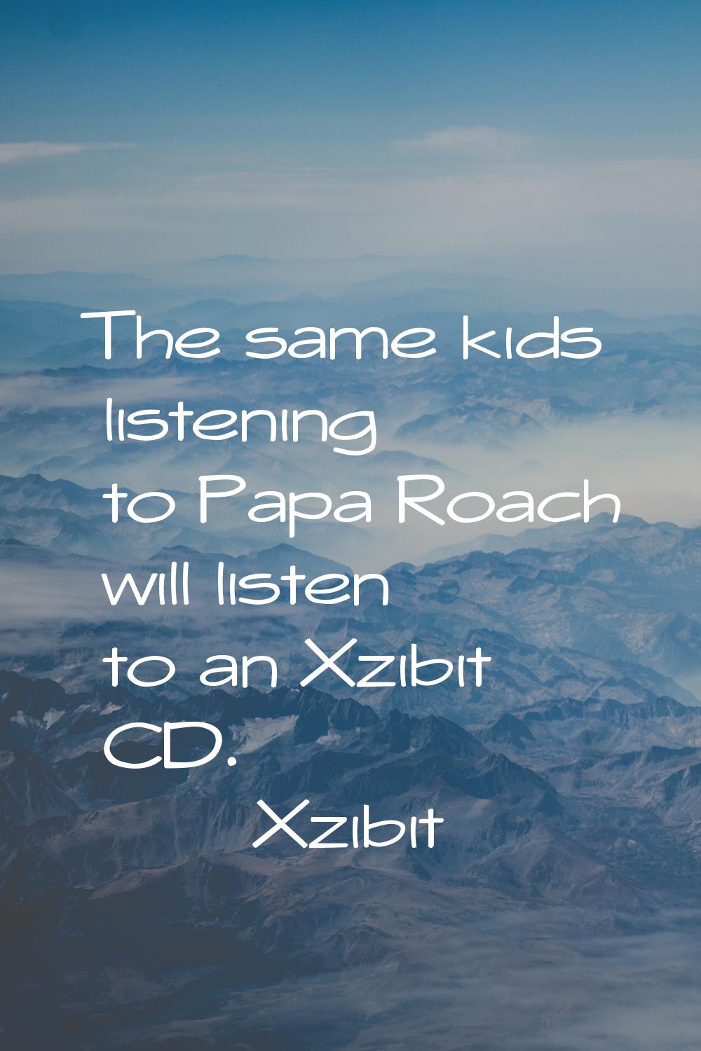 The same kids listening to Papa Roach will listen to an Xzibit CD.