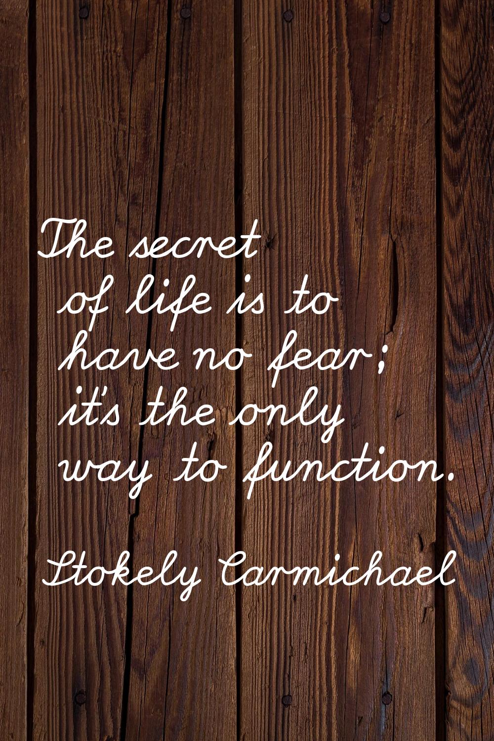 The secret of life is to have no fear; it's the only way to function.