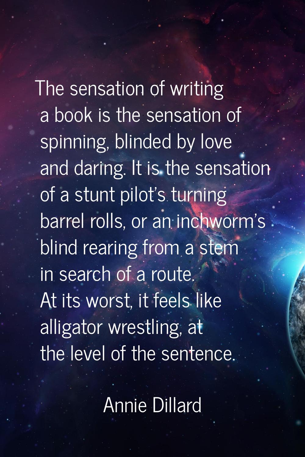 The sensation of writing a book is the sensation of spinning, blinded by love and daring. It is the