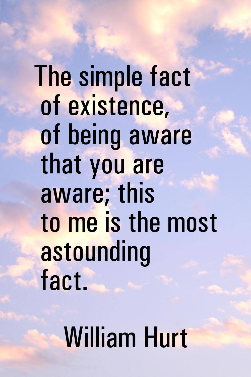 The simple fact of existence, of being aware that you are aware; this to me is the most astounding 